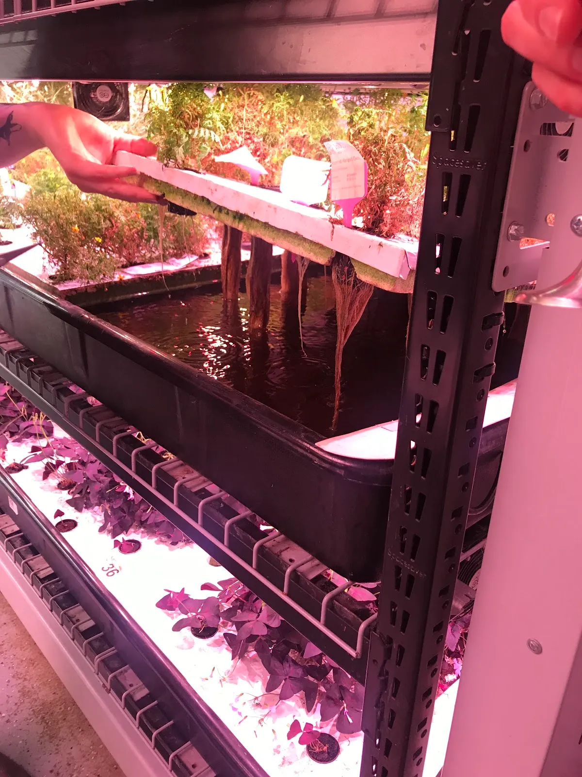 Gallery image 3